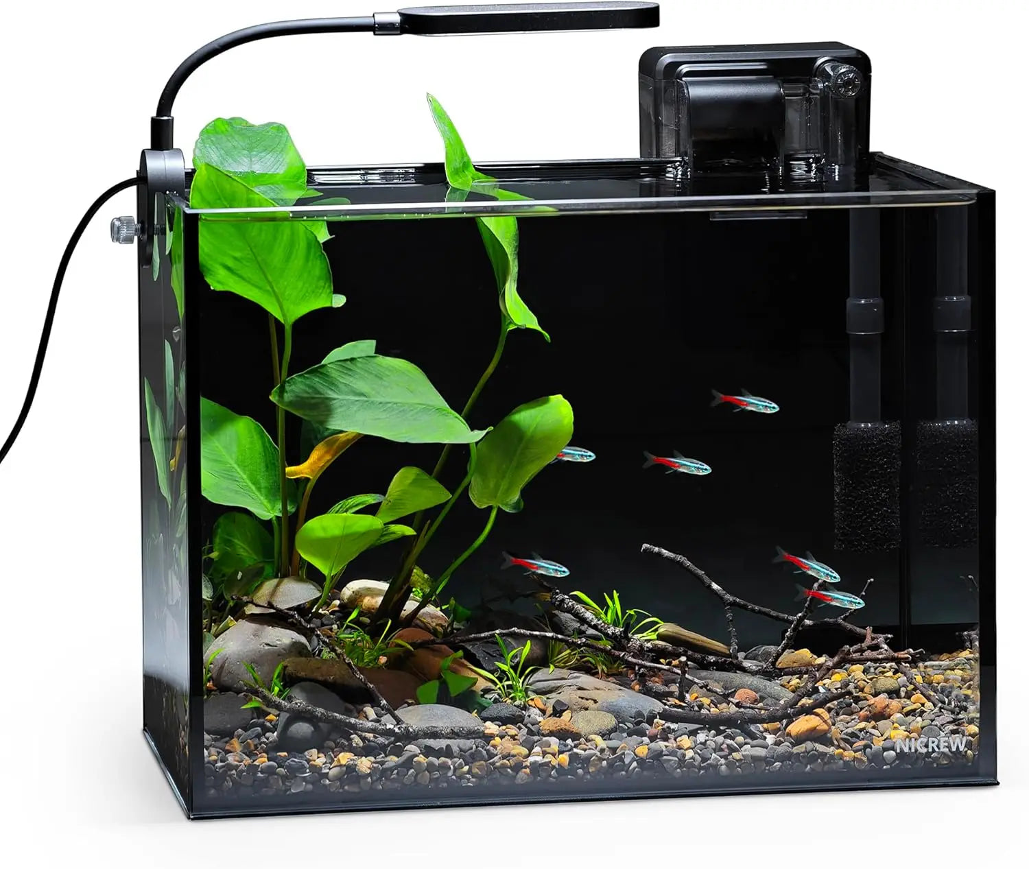 Ultra-Clear Rimless Aquarium Kit