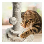 Cat Scratcher