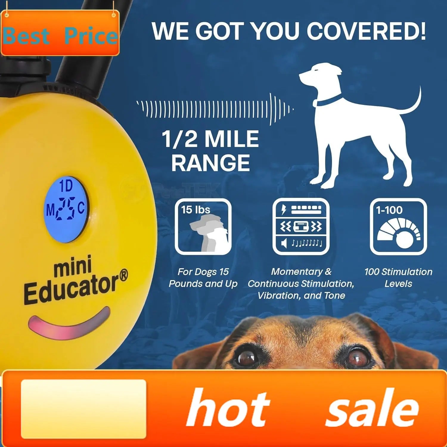 Mini E Collar for Dog Training with Remote