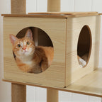 Multi-Level Cat Tree