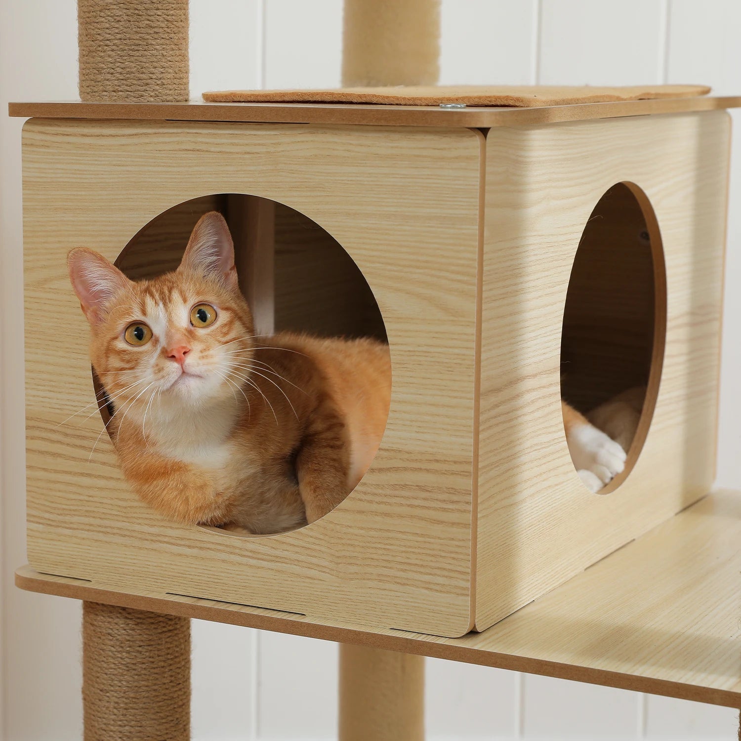 Multi-Level Cat Tree
