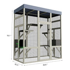 Cat Enclosure