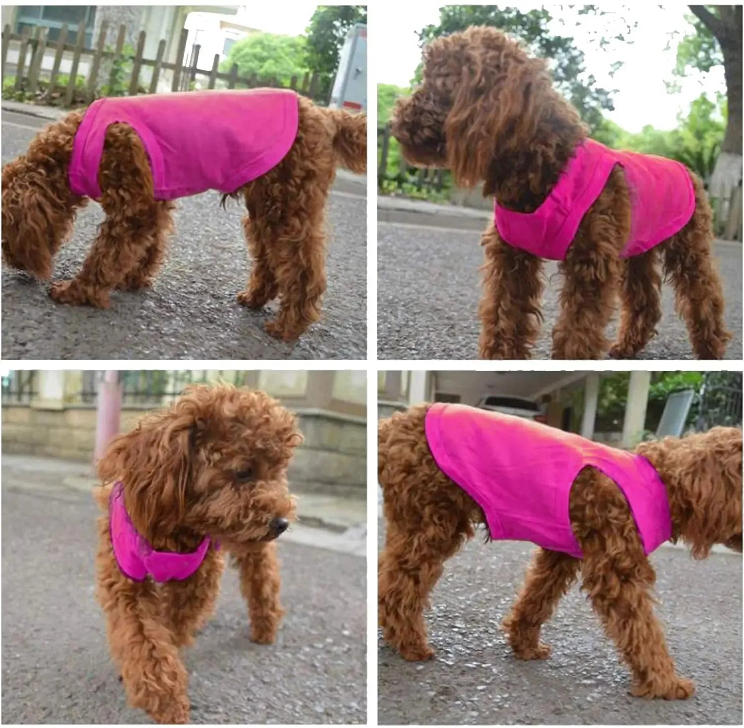 Pure Cotton Dog Shirts