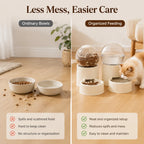 Keep Cats Fed & Hydrated Easily