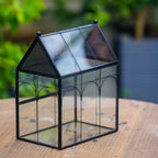 Glass Enclosure for Insect, Jumping Spiders