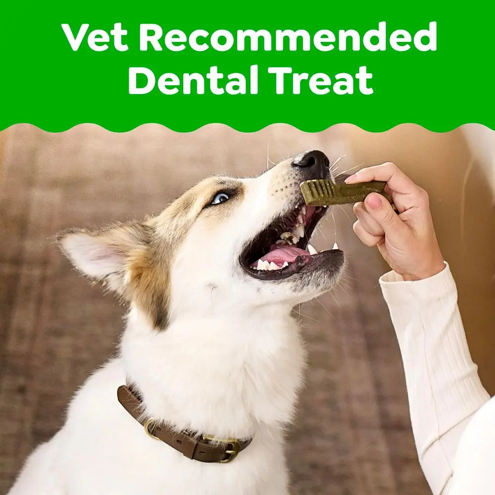 Vet Recommended Dental Treats