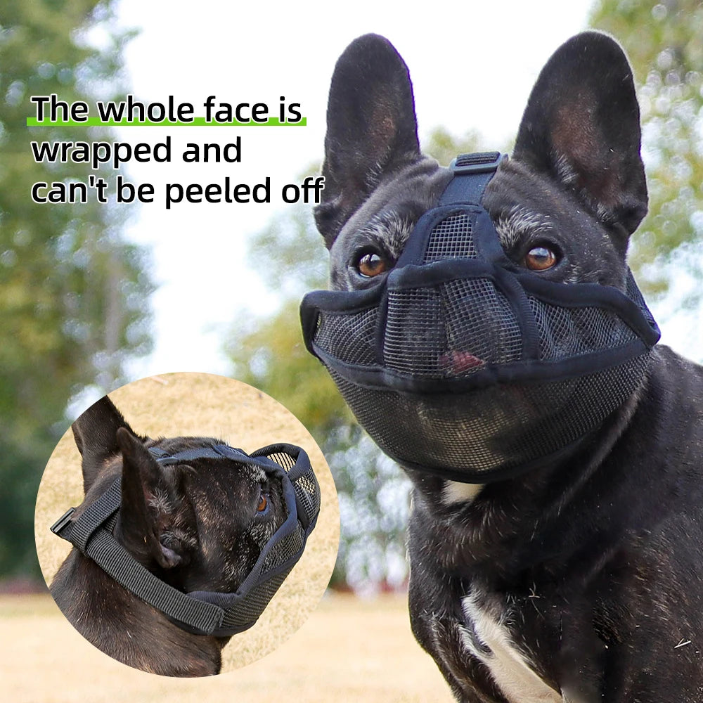 Muzzle for Short-snouted Dogs