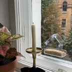 Transparent Bird Feeder