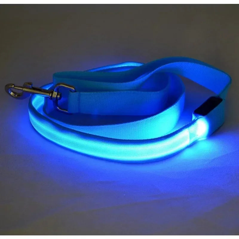 Flashing Leash Leash Rope