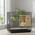 Transparent Parrot Nesting Box