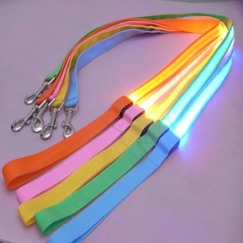 Flashing Leash Leash Rope