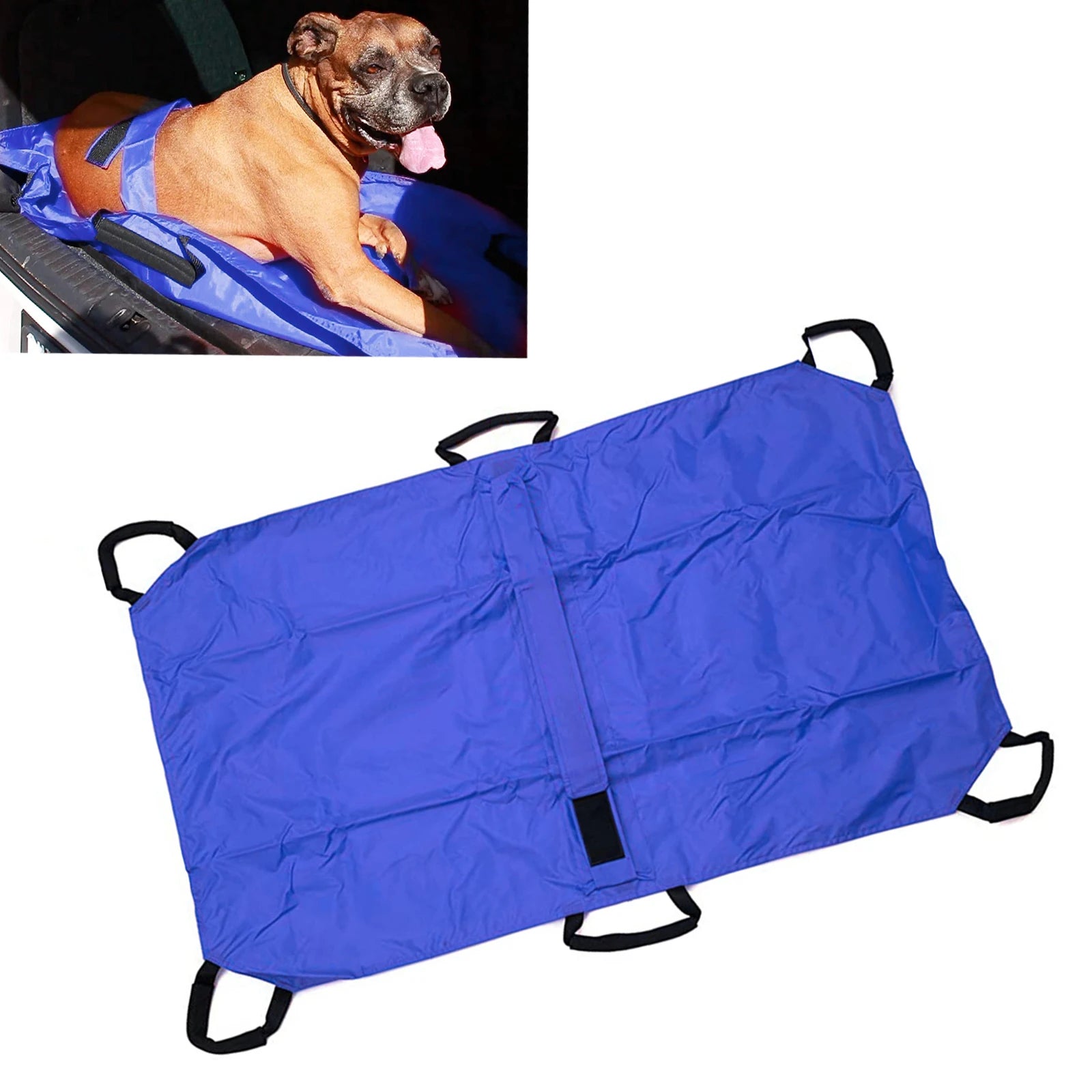 Pet Transport Stretcher