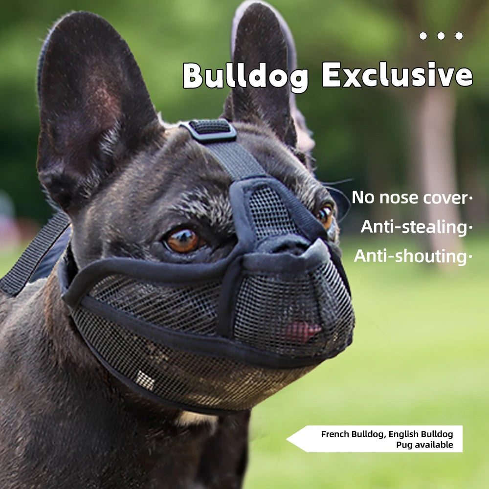Muzzle for Short-snouted Dogs