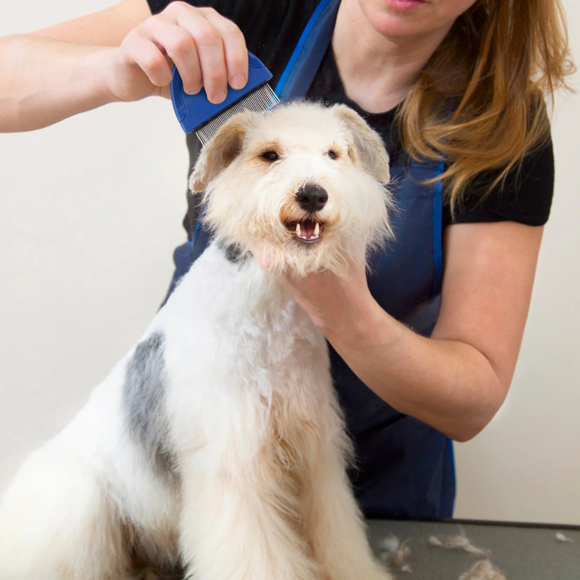 Flea Comb for Cat/Dog