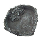 Reptile Amphibians Food/Water Dish