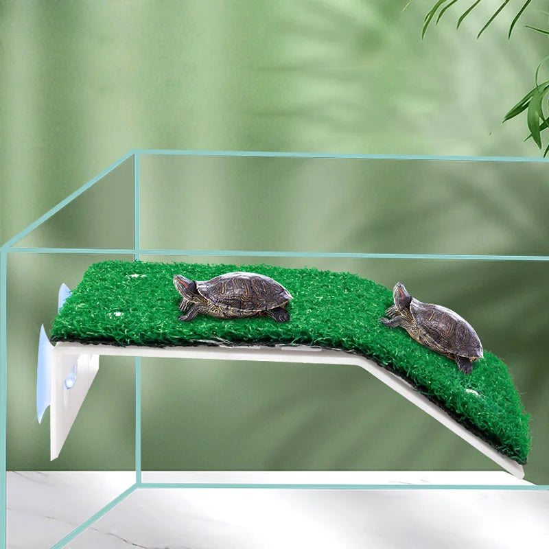 Turtle Climbing Platform/Sunbathing