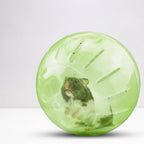 Mini Portable Pet Jogging Ball