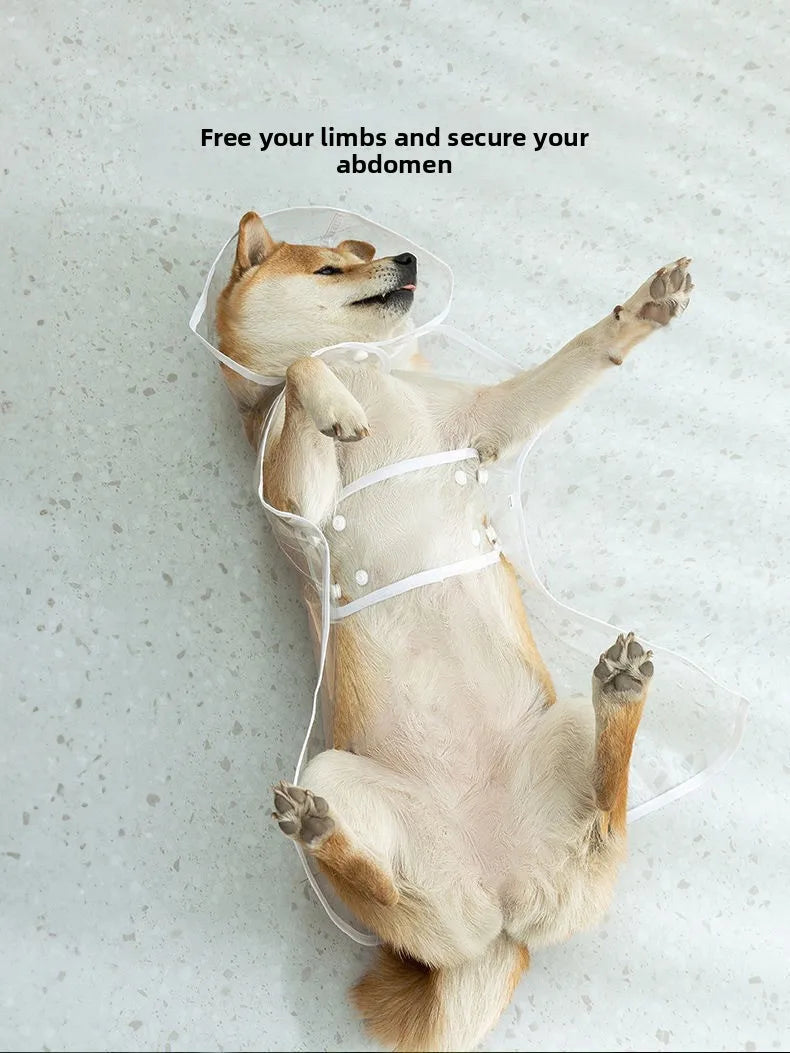 Pet Raincoat Windproof Clothing