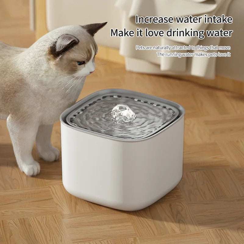 Filter-Water Fountain Auto Recirculate