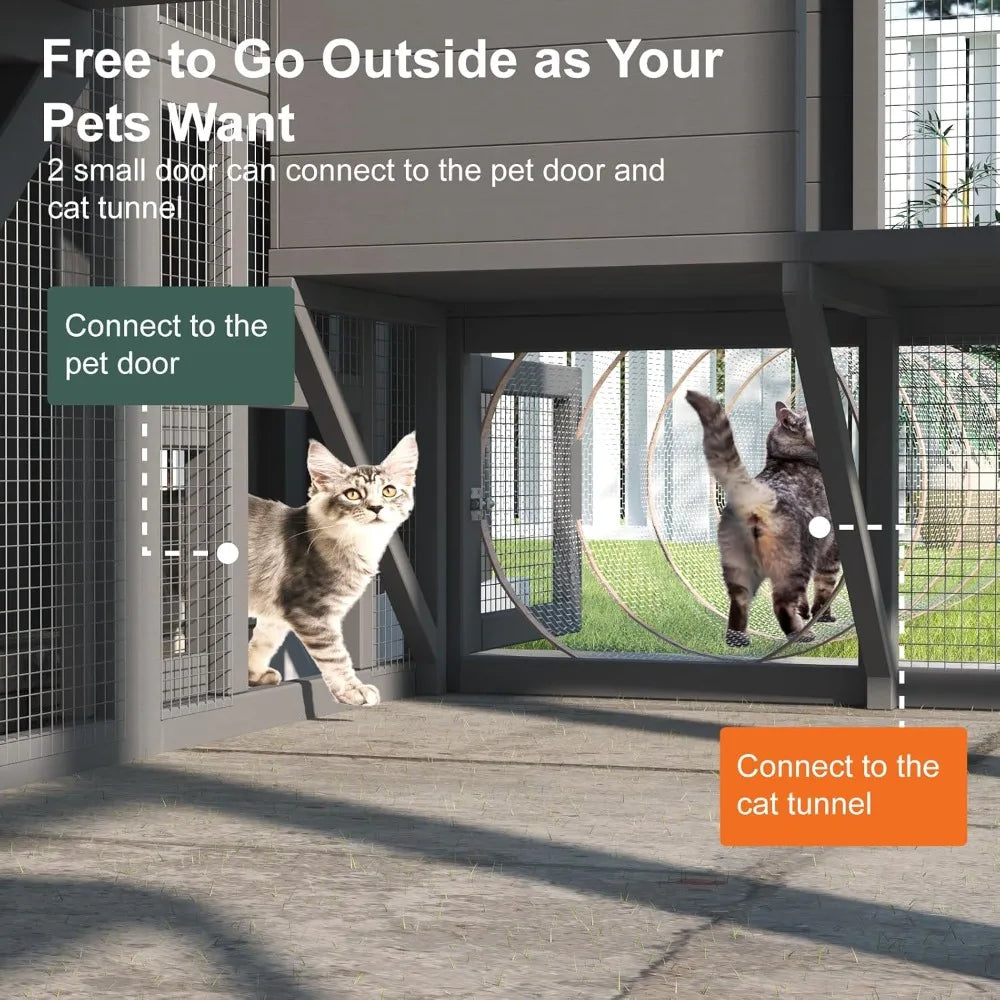 Large Cat Enclosure