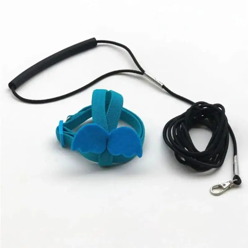 Bird Harness/Leash Training