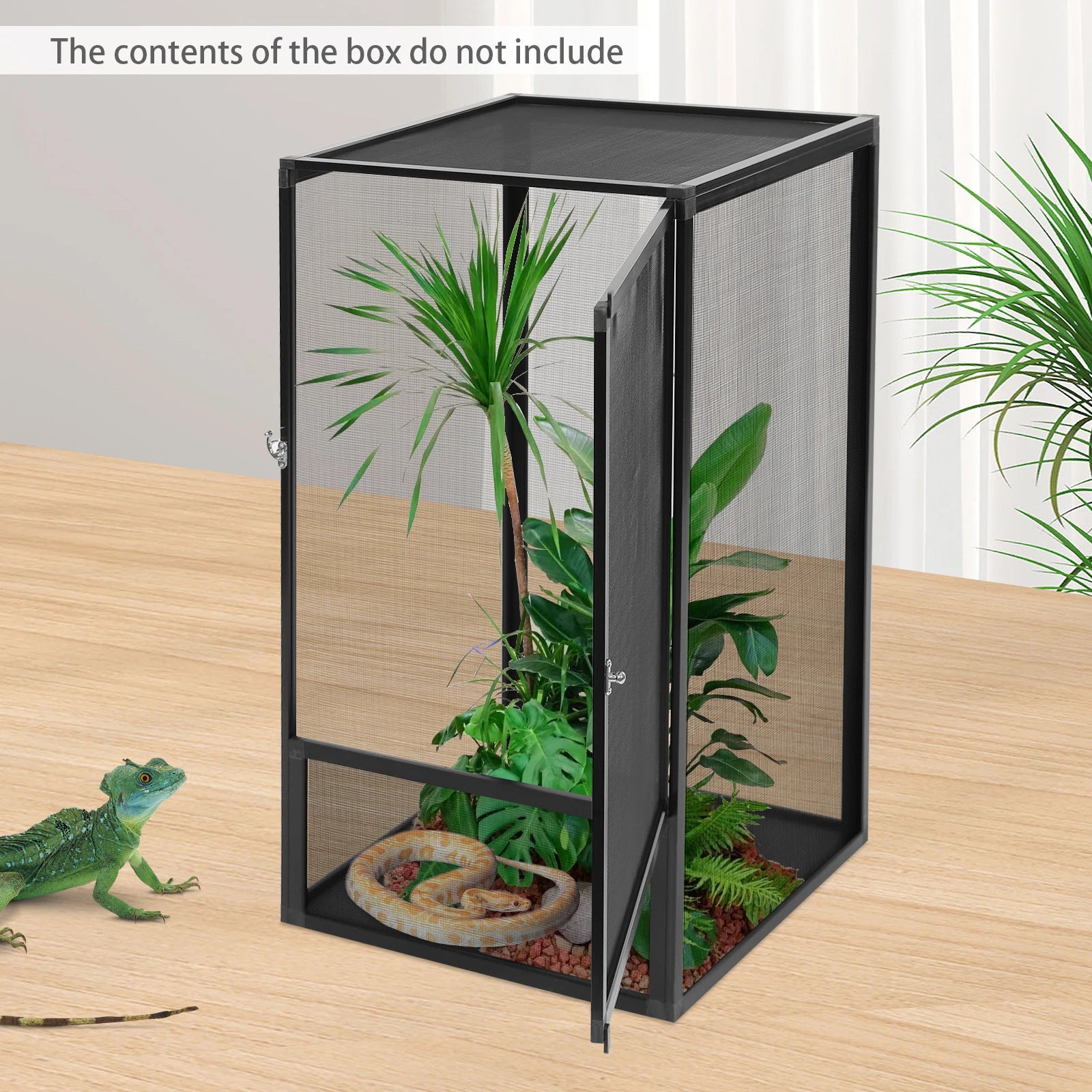 Reptile Feeding Box