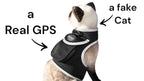 Get Realtime Pet Locations