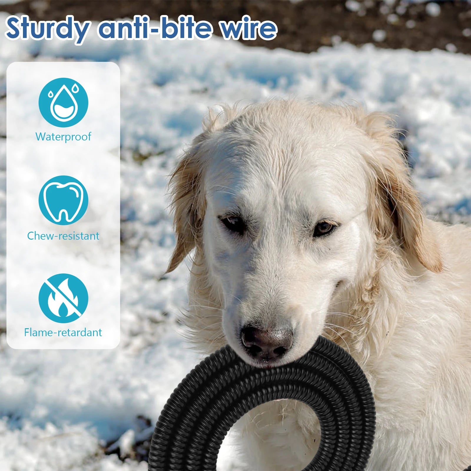 Heated Pet Water Bowl