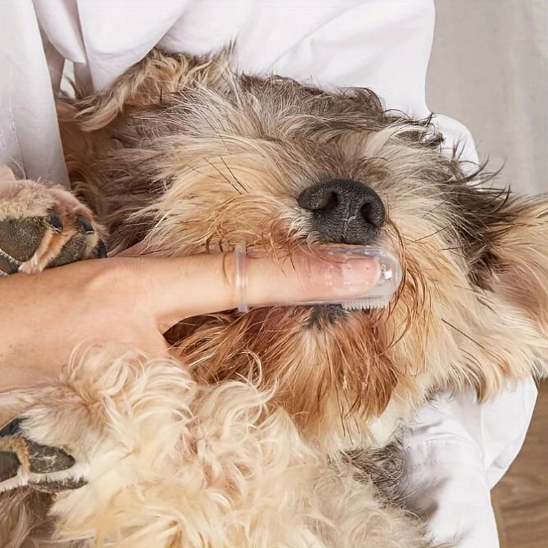 5 PCS Pet Finger Toothbrush Set