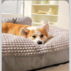Dog/Cat Sofa Large Comfort