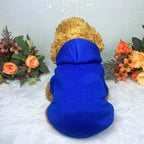 Winter Dog Clothes