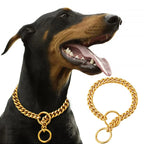 Stainless Large Collar Chain
