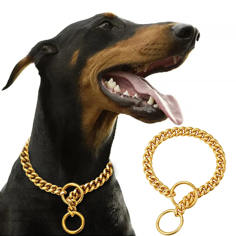 Stainless Large Collar Chain