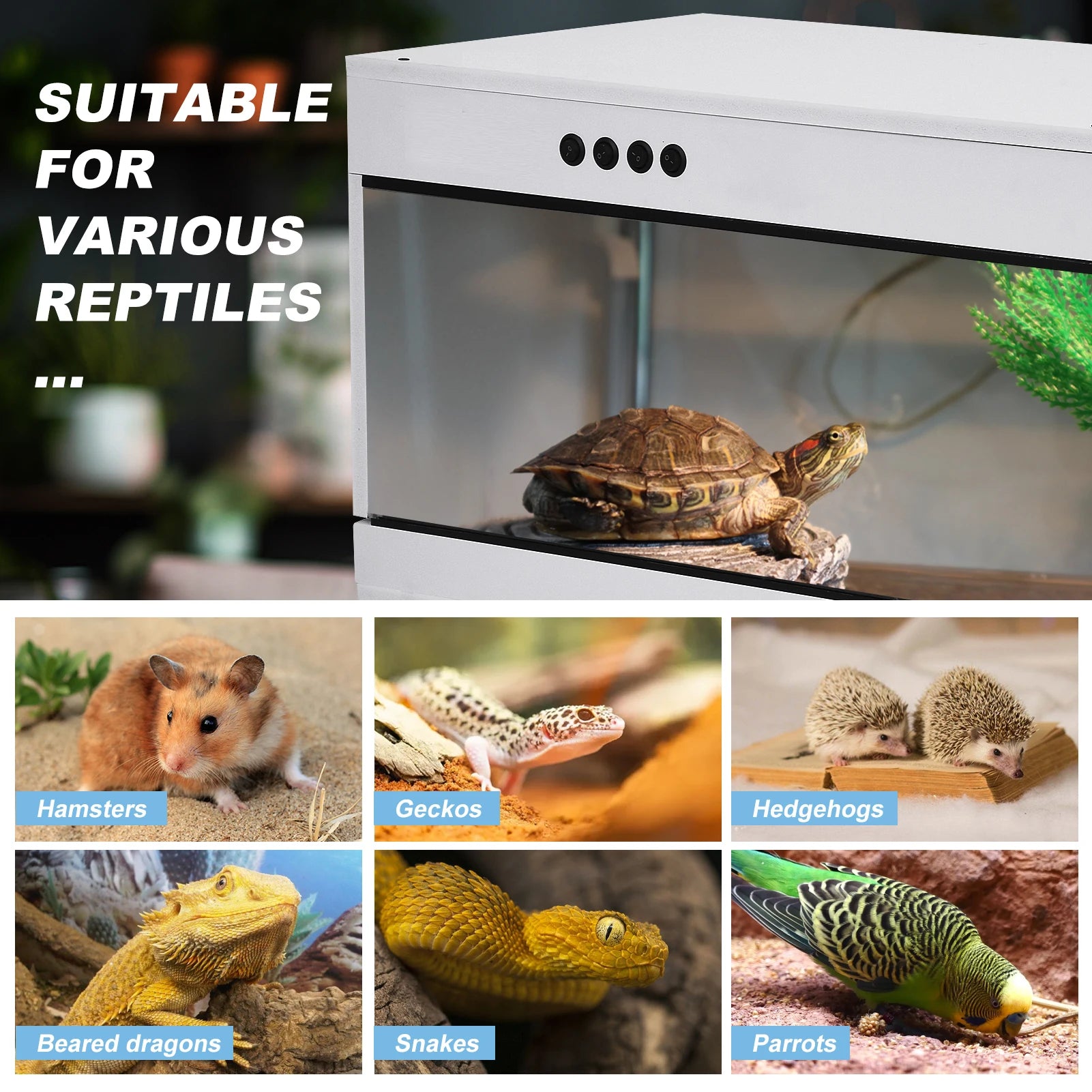 Reptile Enclosure/Terrarium