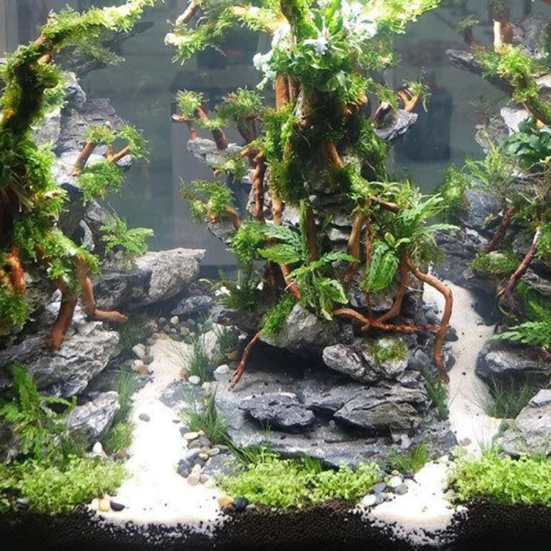 Aquarium Micro Landscape Driftwood