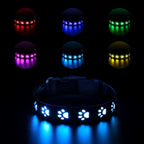 Rechargeable LED Dog Collar