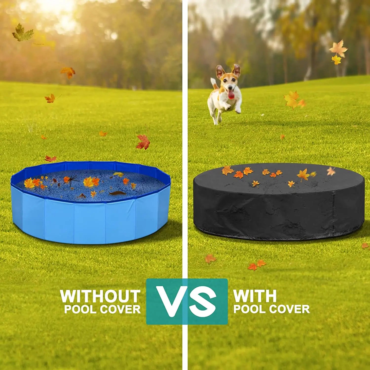 Dog Swimming Pool or Pool Cover