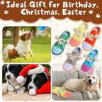 5 Pack Dog Chew Toys