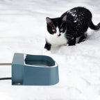 Pet Automatic Water Dispenser with Heater