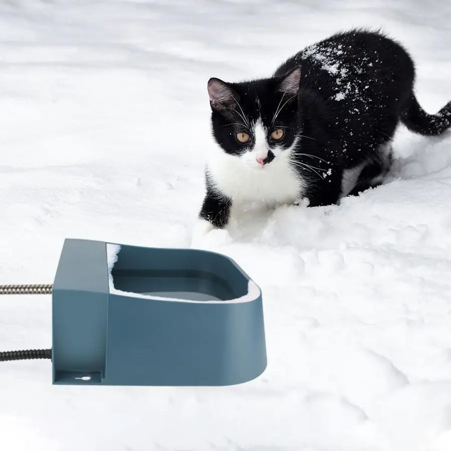 Pet Automatic Water Dispenser with Heater