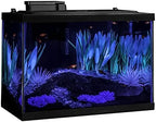 20 Gallon Aquarium Kit
