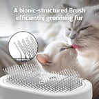 Spray Hair Remover Cleaning Brush