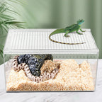 Clear Reptile Terrarium, Stackable