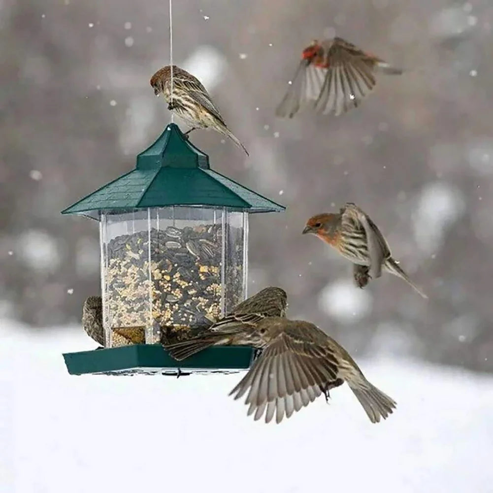 Wild Bird Feeder