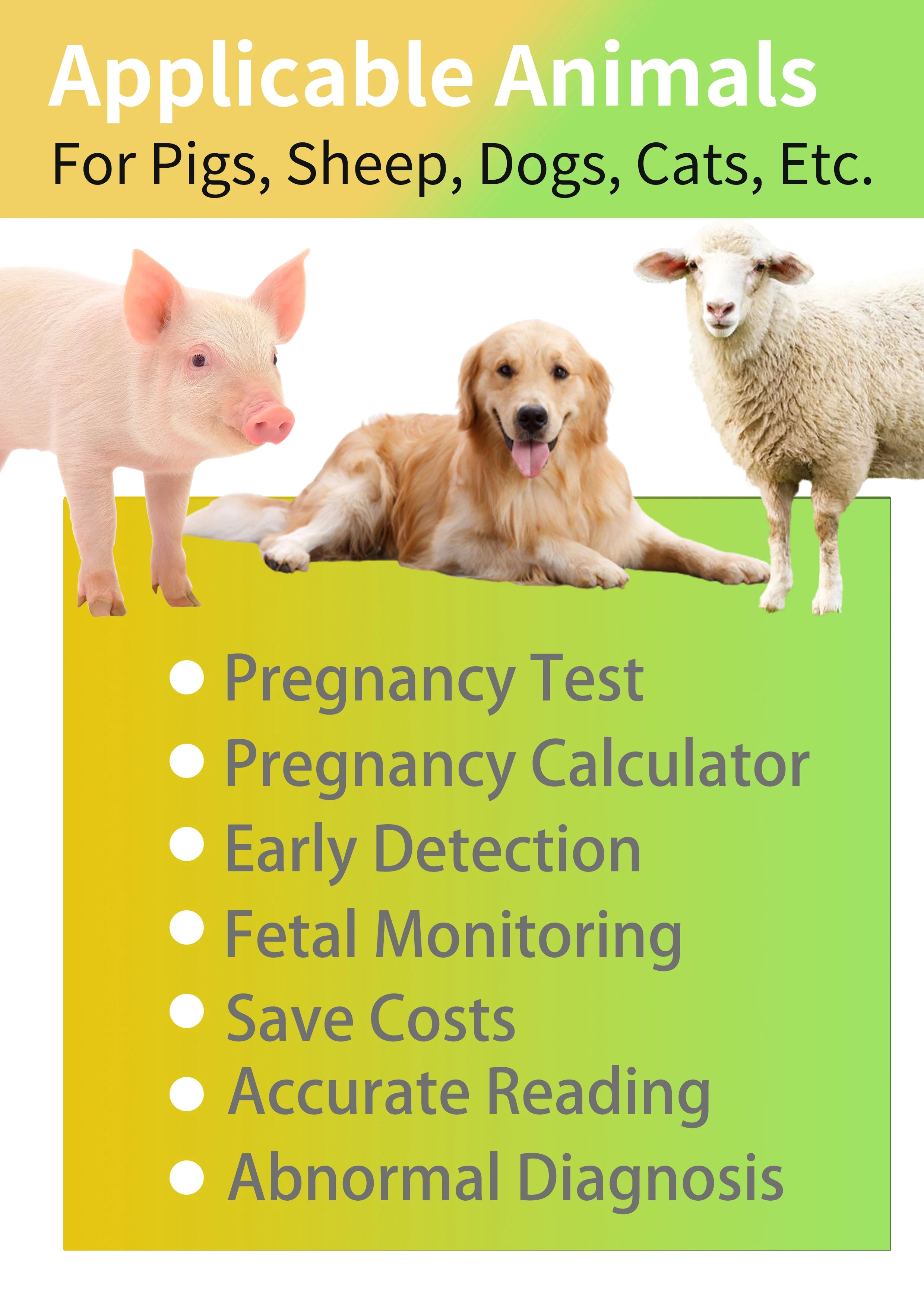 Portable Veterinary Ultrasound Scanner