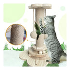 Cat Scratcher