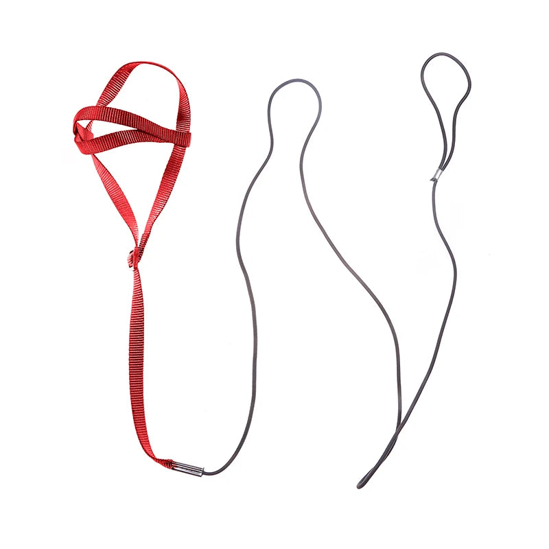 Bird Harness/Leash Activities