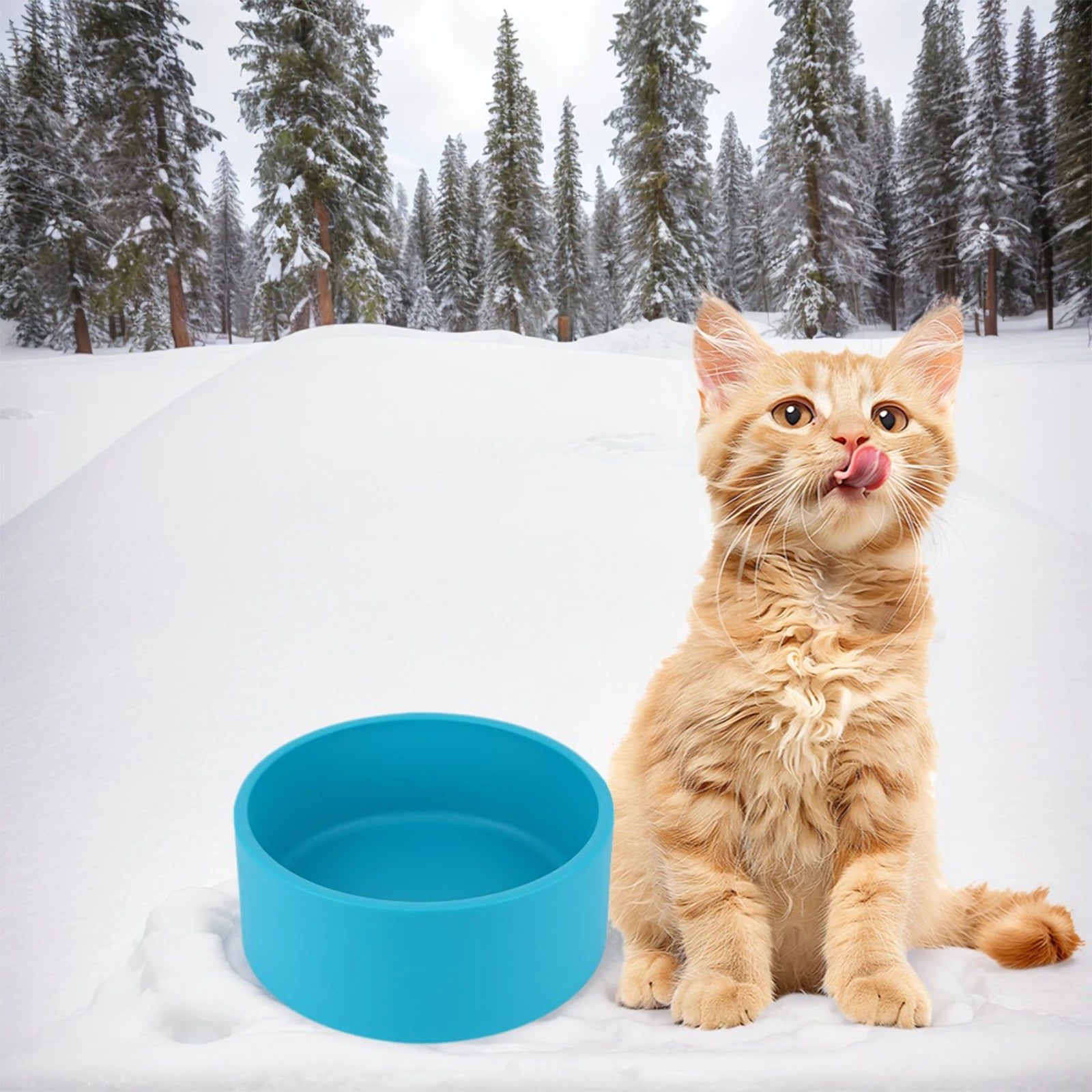 Outdoor Thermal Pet Bowl 3.2 L Heated Dish