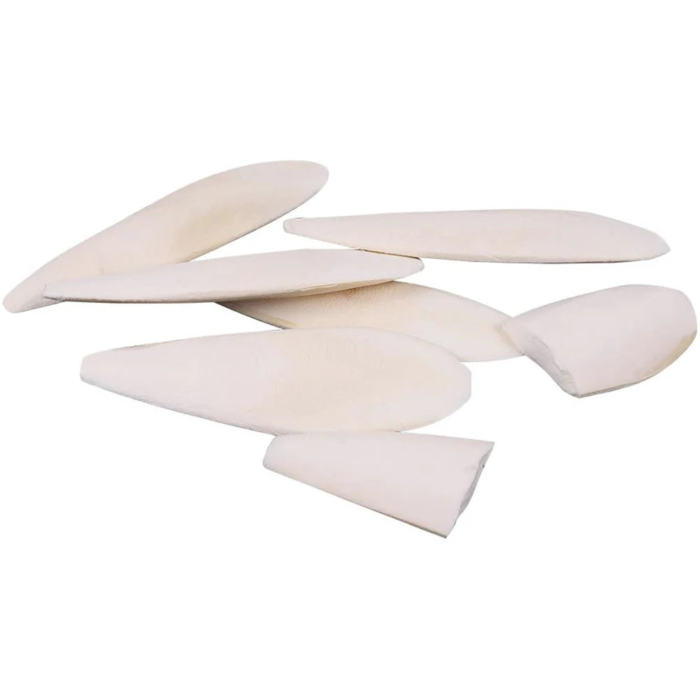 Cuttlefish Bone Calcium Supplements