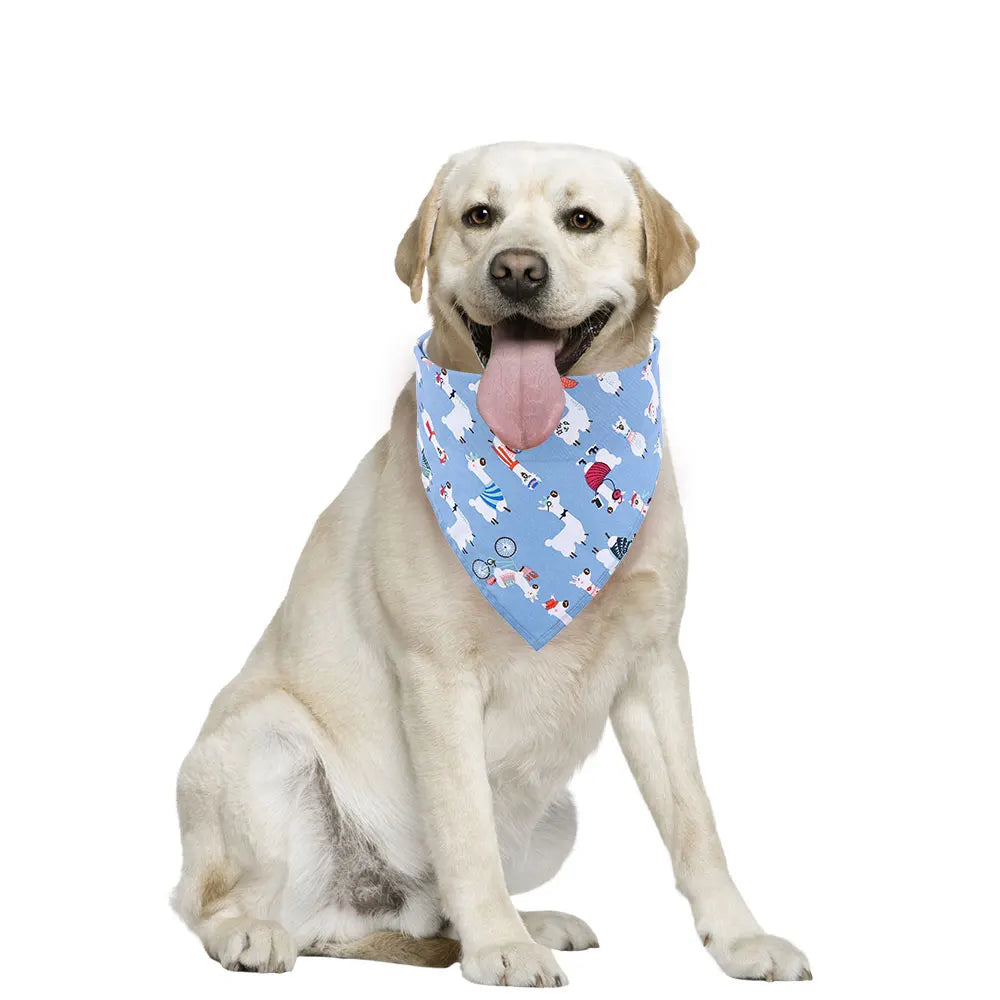 Dog Bandana Fruit Floral Spring
